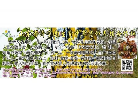 点击查看详细信息<br>标题：金蝉 阅读次数：1219