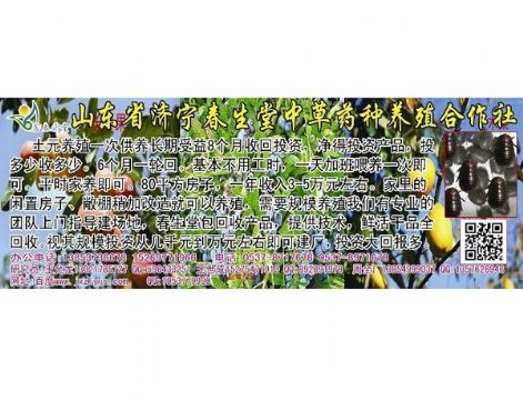 点击查看详细信息<br>标题：土元 阅读次数：1158