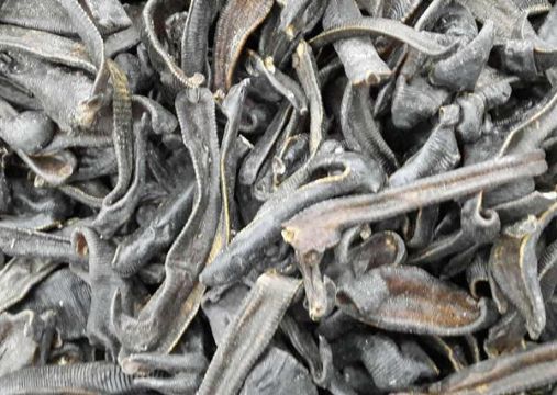 点击查看详细信息<br>标题：水蛭 阅读次数：1265