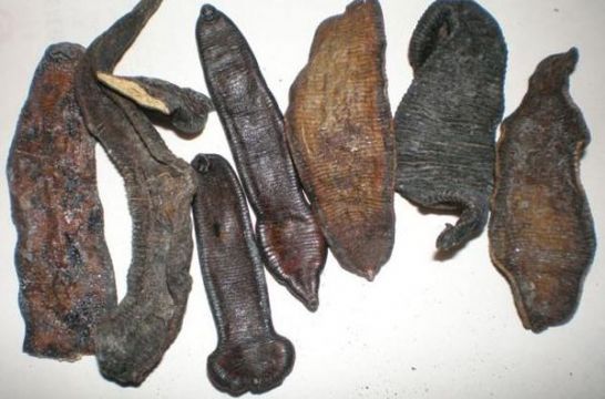 点击查看详细信息<br>标题：水蛭 阅读次数：1194