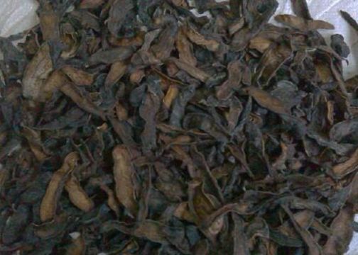 点击查看详细信息<br>标题：水蛭 阅读次数：1222