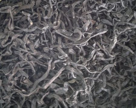 点击查看详细信息<br>标题：水蛭 阅读次数：1221