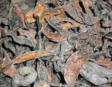 点击查看详细信息<br>标题：水蛭 阅读次数：1231