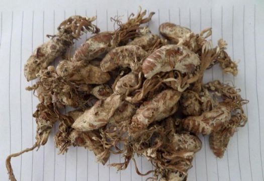 点击查看详细信息<br>标题：金蝉 阅读次数：1442