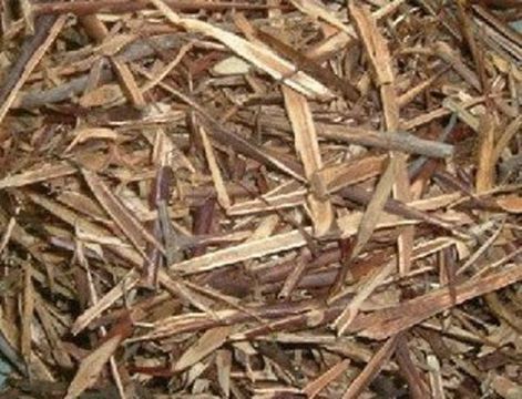 点击查看详细信息<br>标题：皂刺 阅读次数：1167