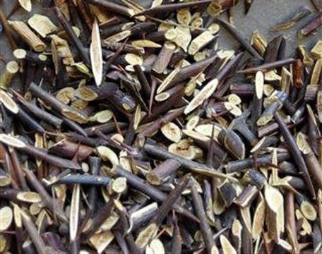 点击查看详细信息<br>标题：皂刺 阅读次数：1303