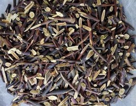 点击查看详细信息<br>标题：皂刺 阅读次数：1454