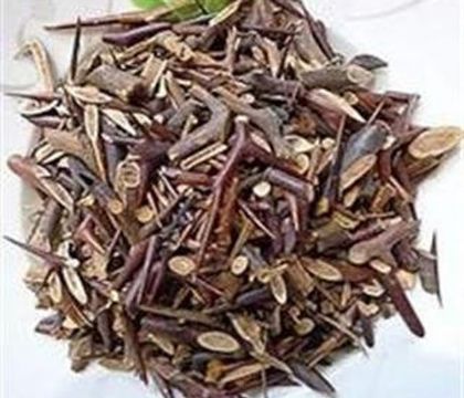 点击查看详细信息<br>标题：皂刺 阅读次数：1523