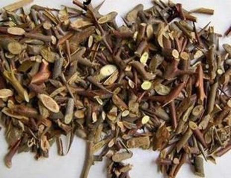 点击查看详细信息<br>标题：皂刺 阅读次数：1594