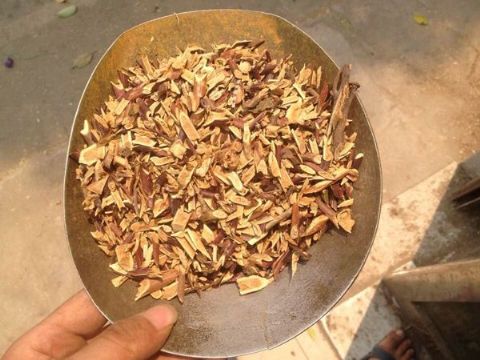 点击查看详细信息<br>标题：皂刺 阅读次数：1483